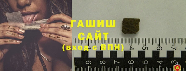 дживик Туринск