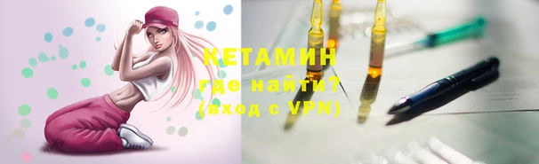дживик Туринск