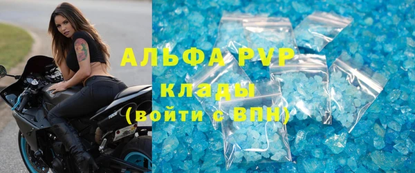 дживик Туринск