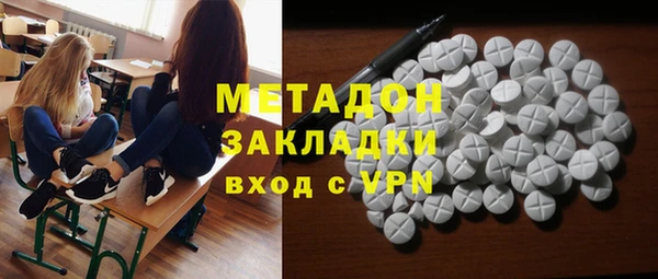 дживик Туринск